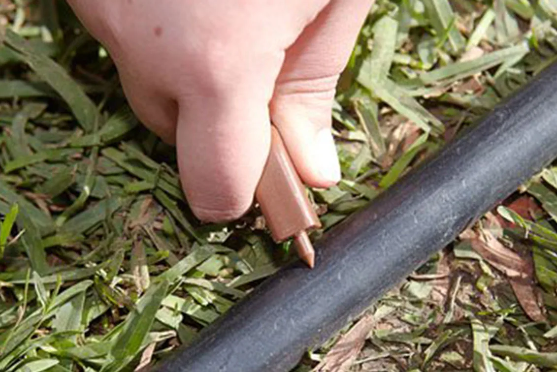 irrigation