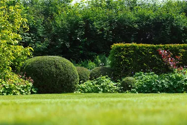 Say ‘bye-bye’ to garden weeds and pests