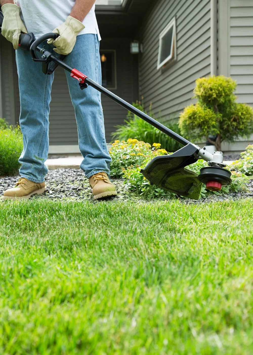 lawn