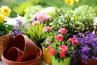 Simple ways to embellish your garden in spring