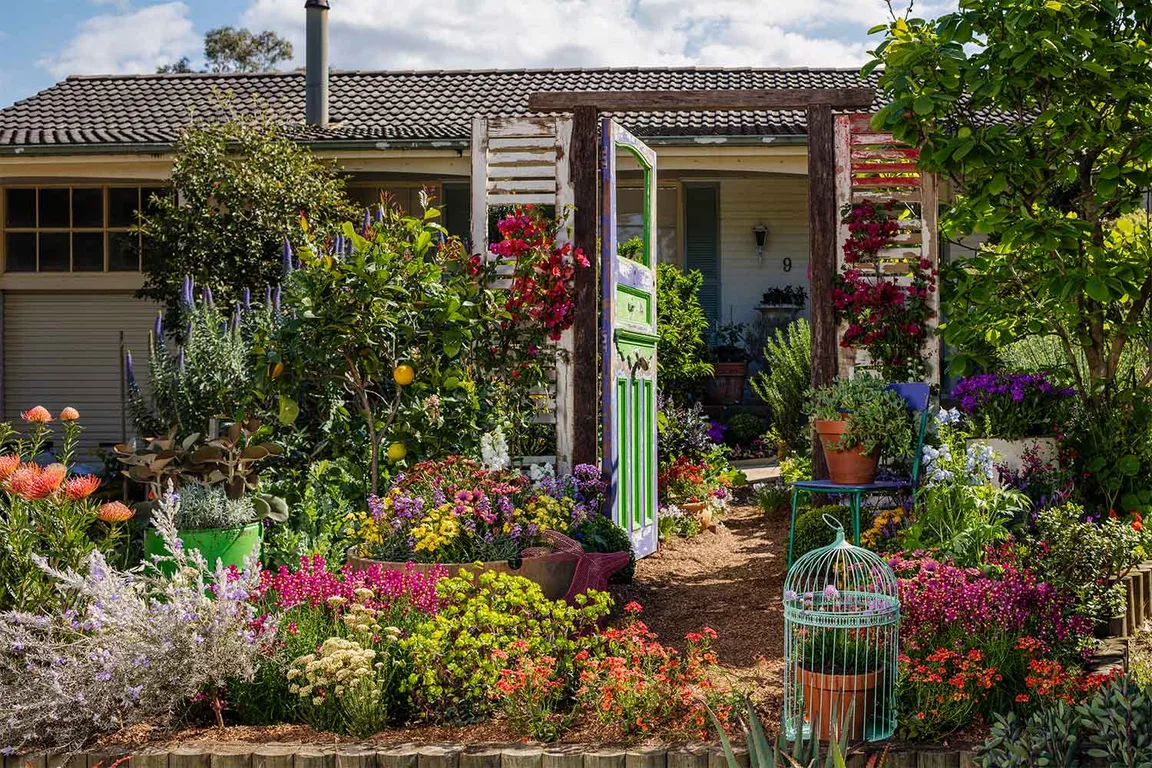 Six ways to add colour to your garden | Better Homes & Gardens Australia