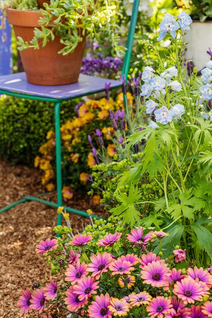 spring flowers