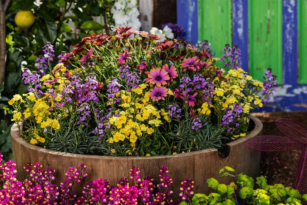 spring flowers