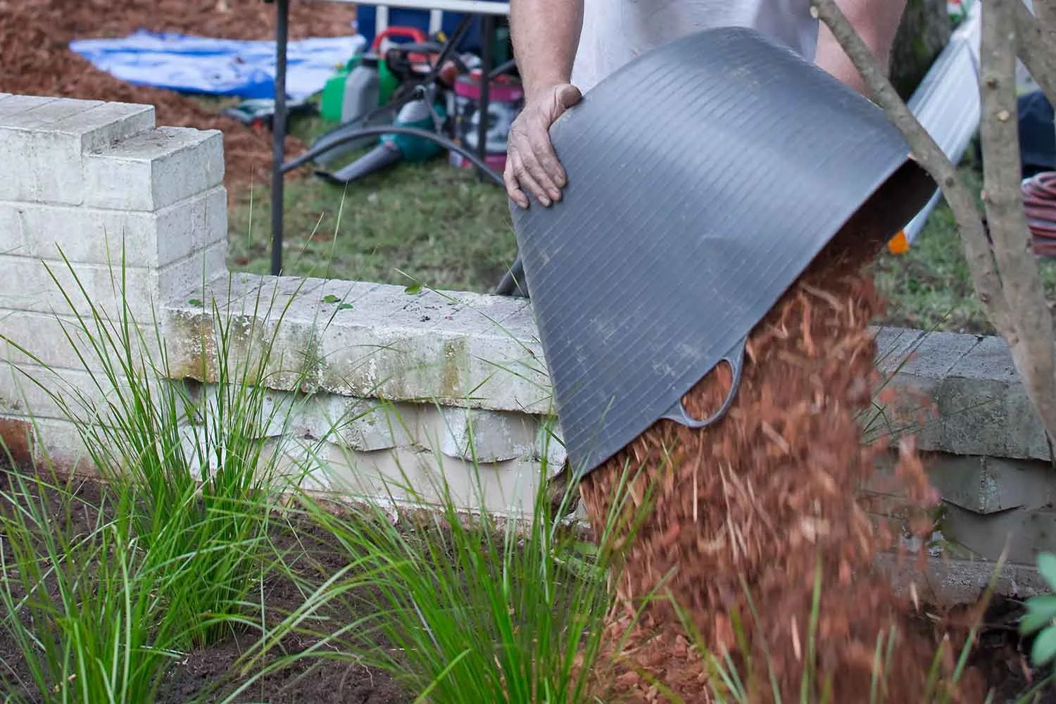 grass edge