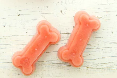 Watermelon pupsicles for dogs