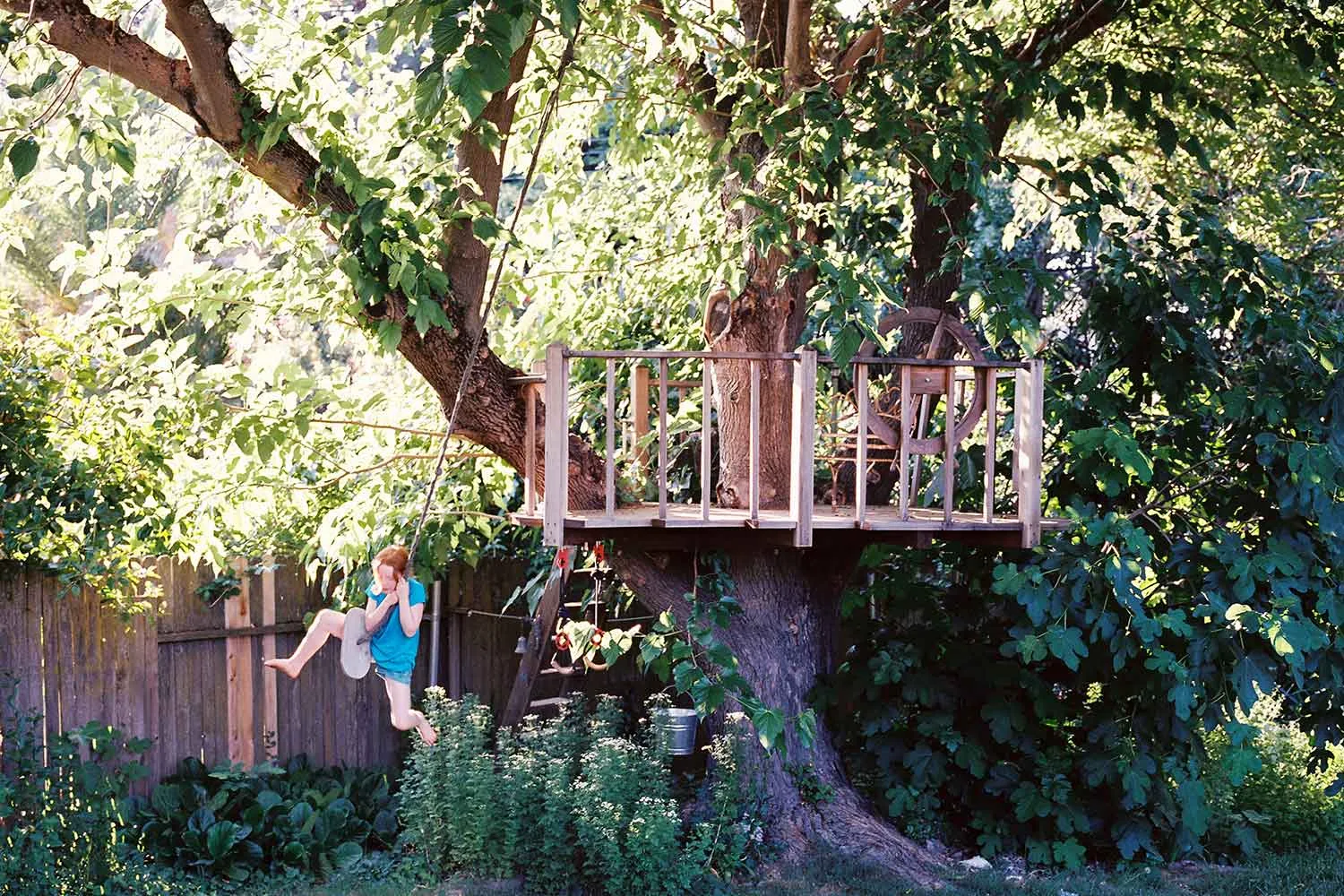 How to care for your trees