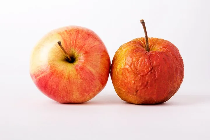energy boosting foods