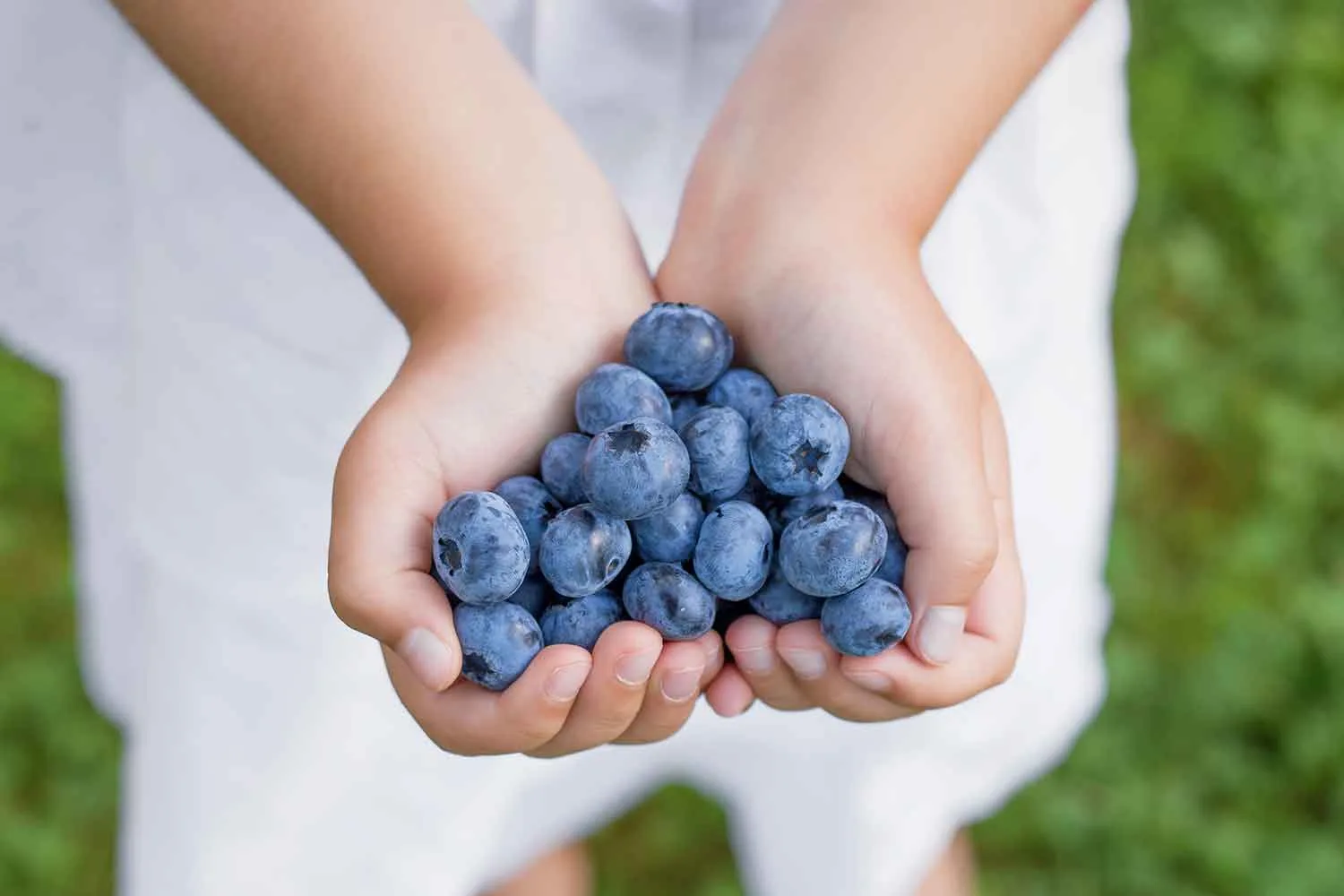 Eight foods to eat if you’re always feeling tired