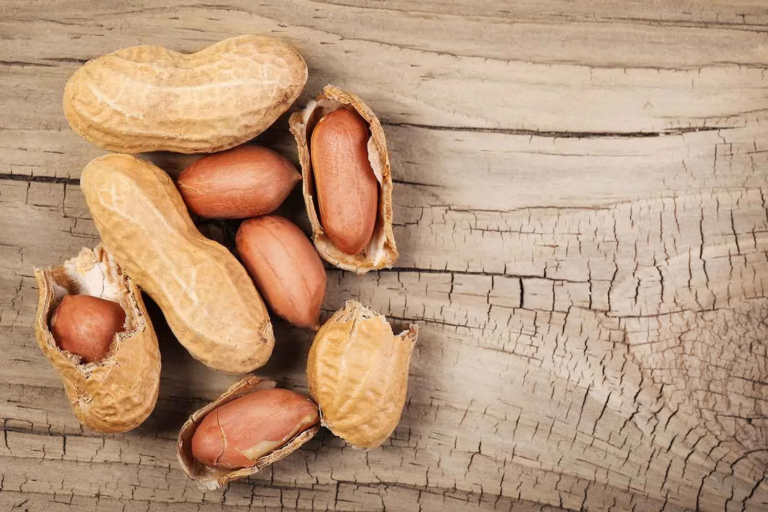 Promising peanut allergy treatment may be on the way