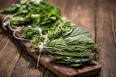 Simple mistake ruining your herbs