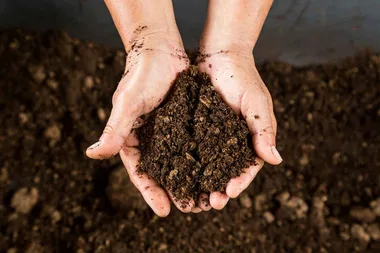 How to improve clay soil