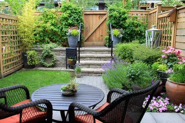 Three things you need to know for a successful garden