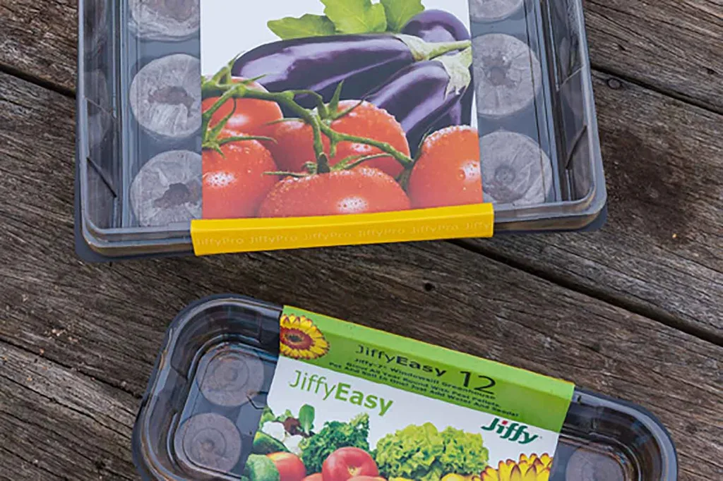 vegie garden