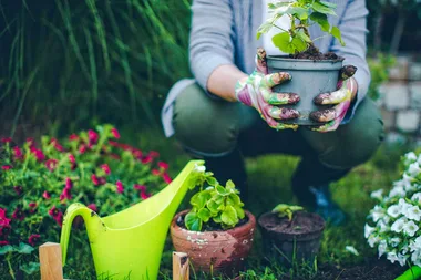 The surprising benefit of gardening