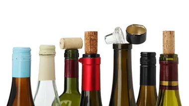 Wine and food pairings cheat sheet