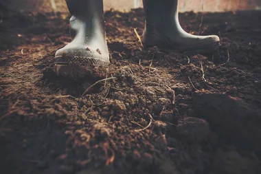 How to improve the quality of your soil