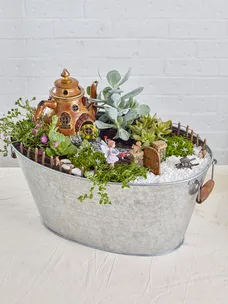 Create a mini DIY teapot cottage garden