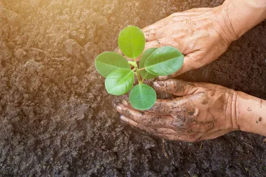 The best day to plant your garden in April according to the moon