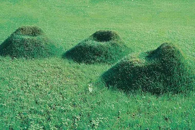 Build a grass-covered armchair in your yard with this DIY kit
