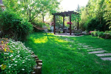 Plants that could cause problems in your backyard