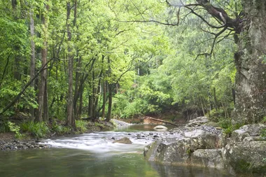 Beautiful Bellingen