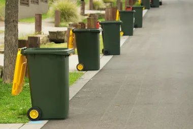 Local council introduces see-through bins