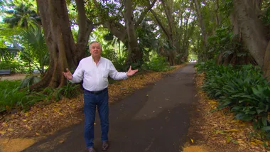 Adelaide Botanic Gardens