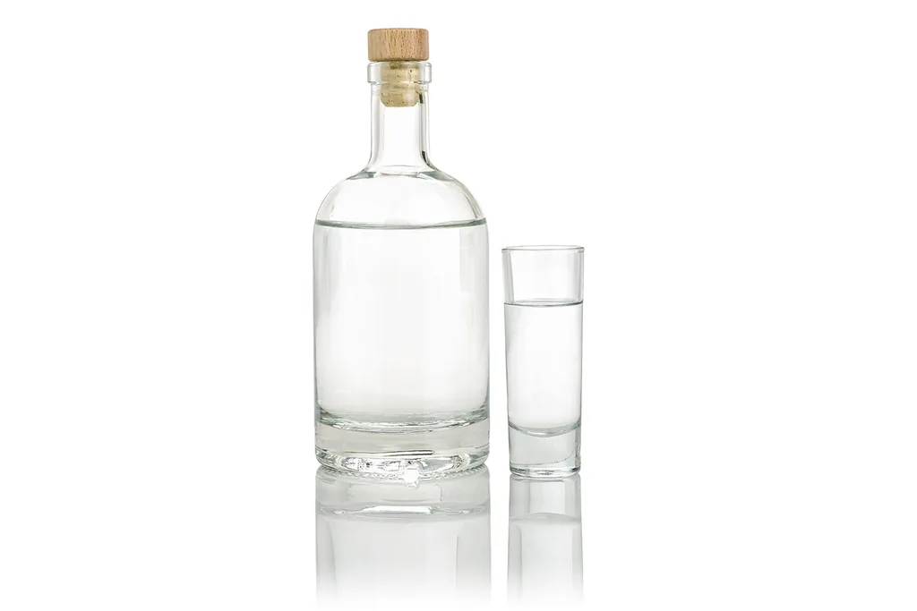Bottle of vodka and shot glass