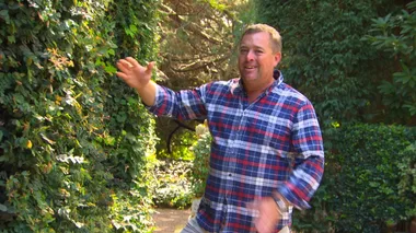 Jaspers Berry Walkaround