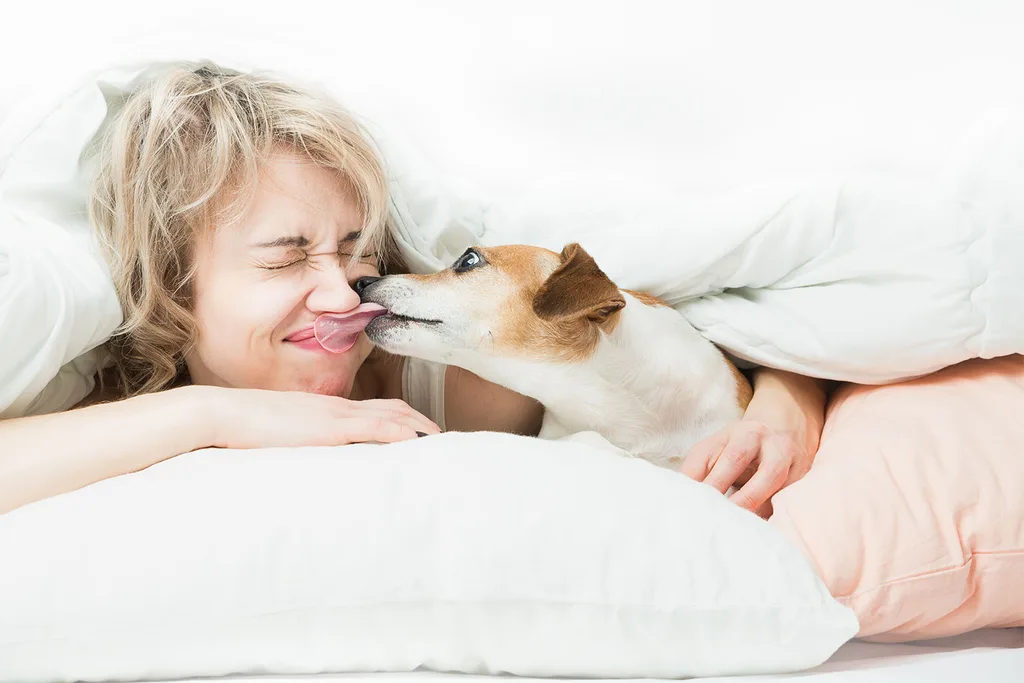 Dog licking a woman's face in bed.