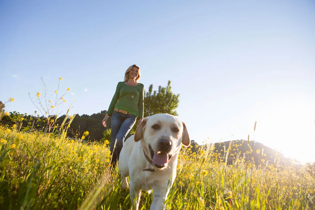 Woman walking with dog