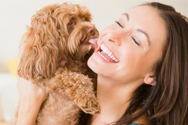 Having a pet makes you healthier than those without animals