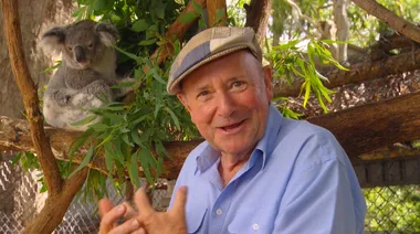 Koala Hospital