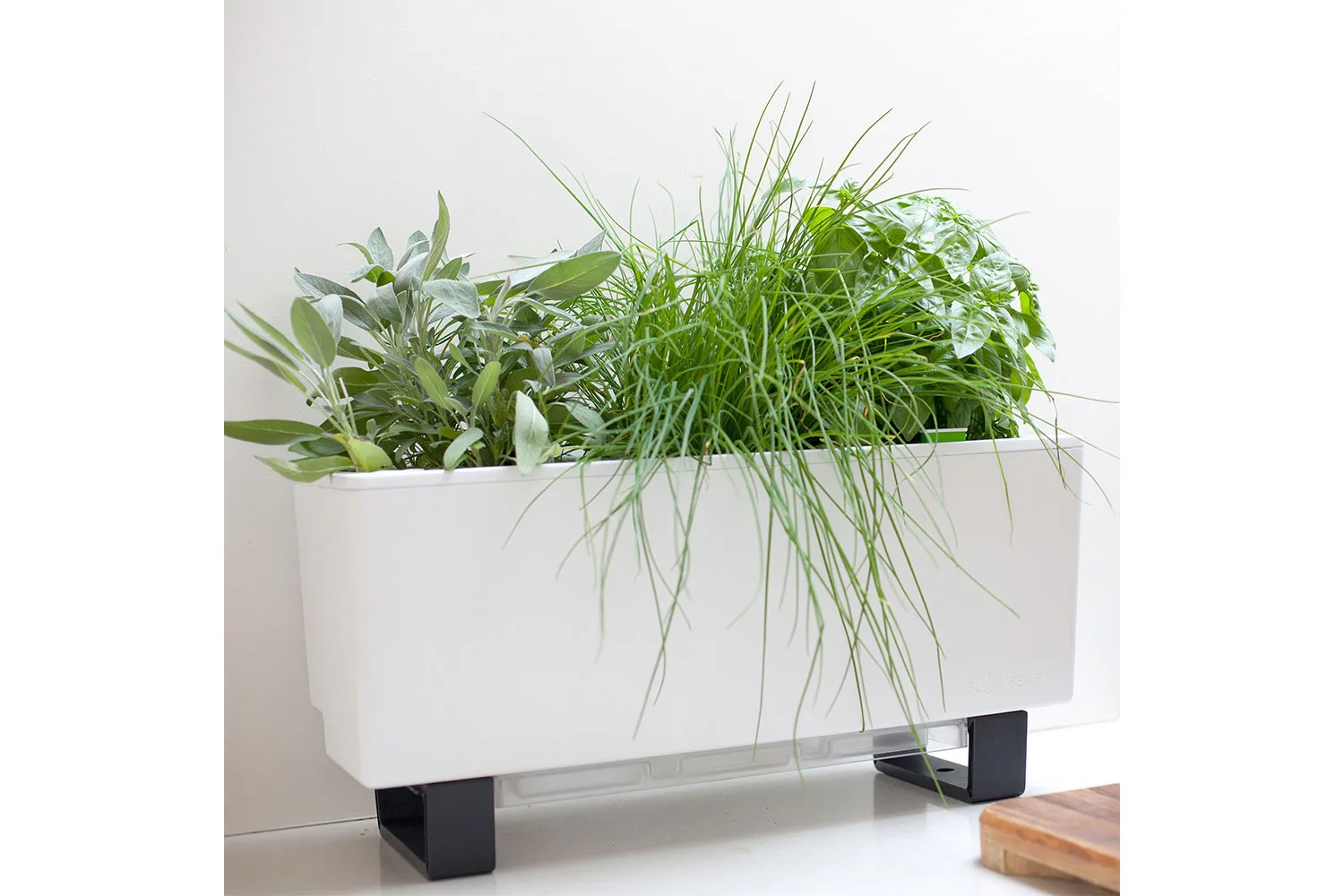 Mini Self Watering Bench Planter