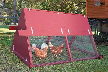 How to build a chicken coop