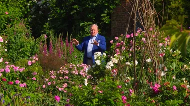Walkabout: Sissinghurst Castle and Garden