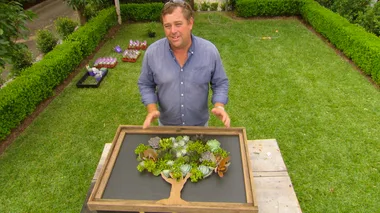 Succulart