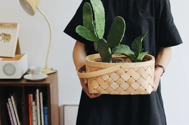 The trendiest plant of 2018