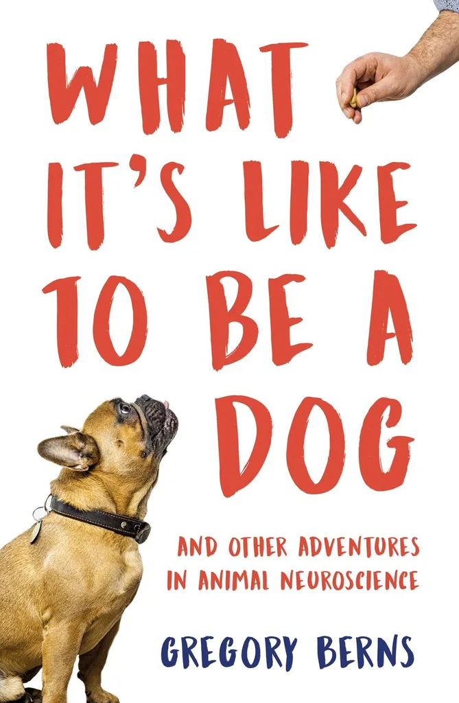 what it's like to be a dog