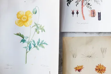 How to create an art wall on a budget