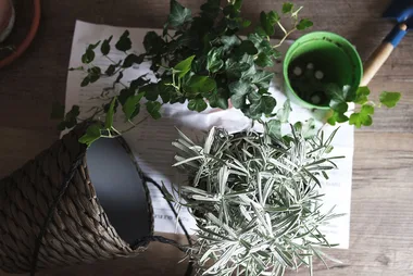 Four surprising ways gardening can benefit your health