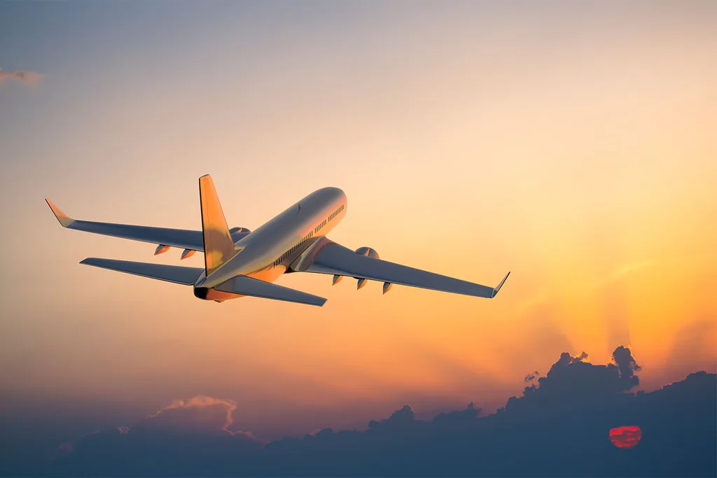 plane in sky