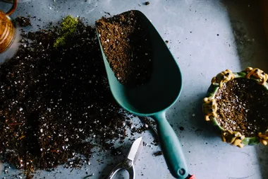 5 Composting ideas to suit every home and budget