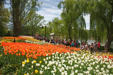 The must-see flower festivals in Australia
