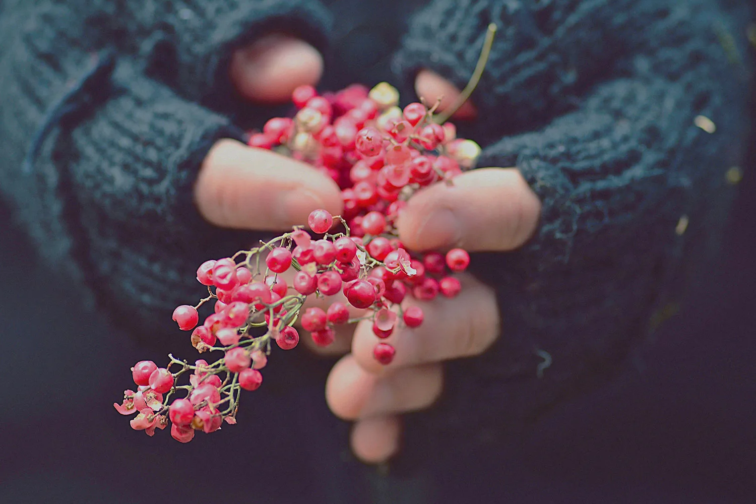 Blue fingerless gloves and red berries