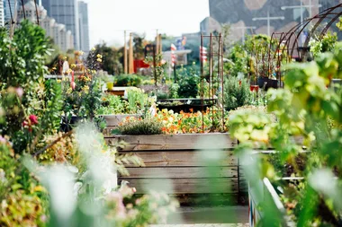 How to get the best results from your garden beds in winter