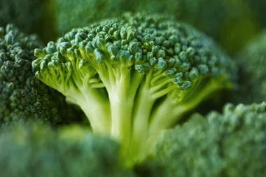 Broccoli coffee: Australian scientists have created a new way to eat your greens