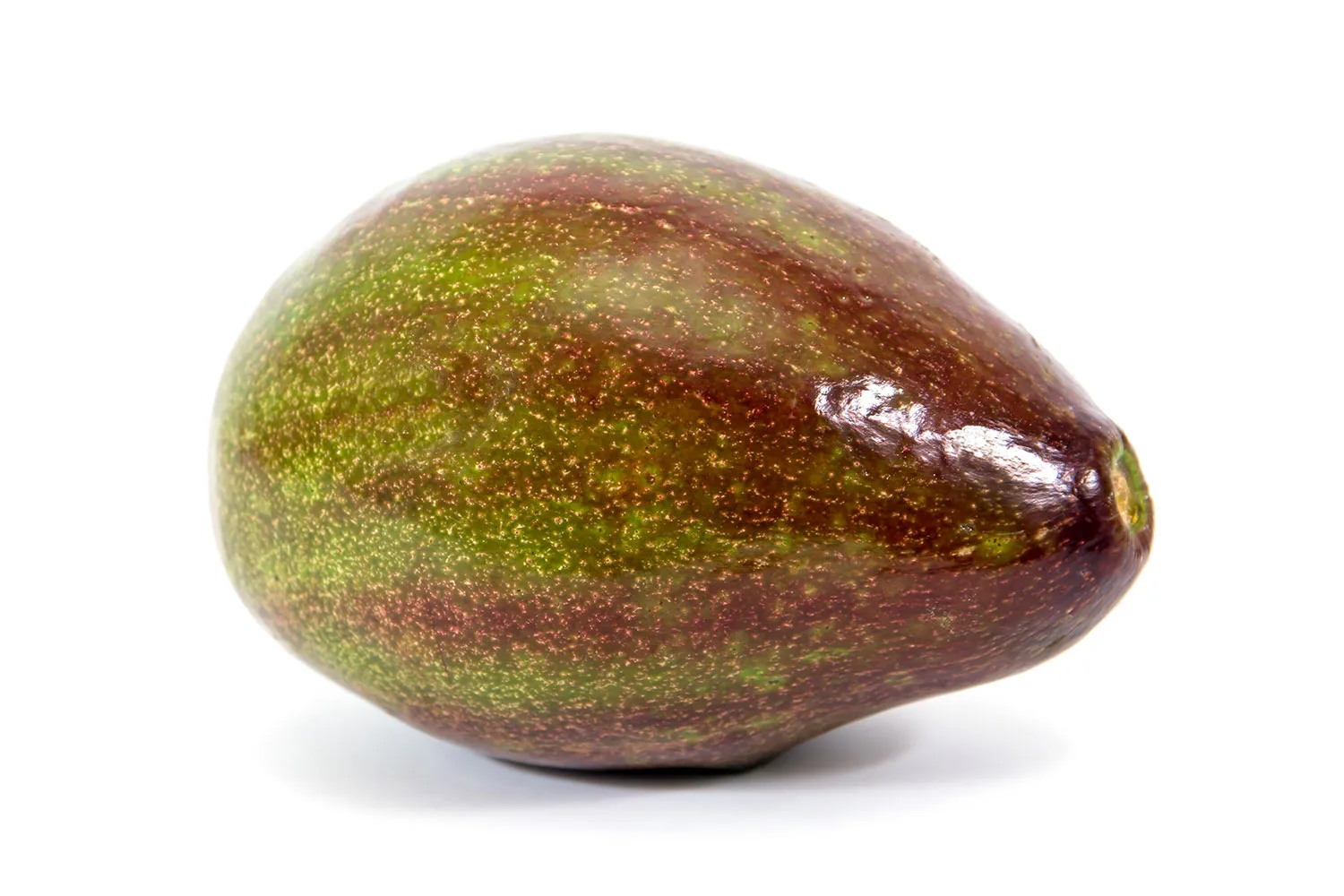 Giant avocados (aka avozillas) hit supermarket shelves