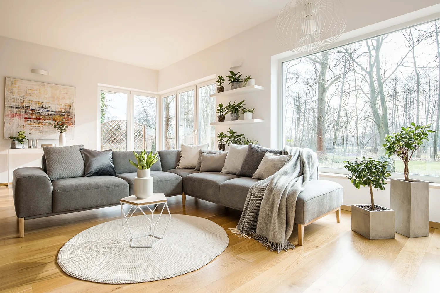 living room with timber floors and grey furniture