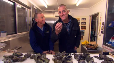 Oyster Tasting